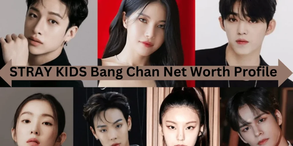 this emage showing a STRAY KIDS Bang Chan Net Worth Profile