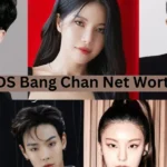 this emage showing a STRAY KIDS Bang Chan Net Worth Profile